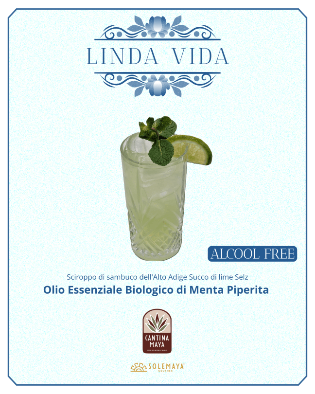 LINDA VIDA